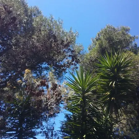 Grande Proche Plage *